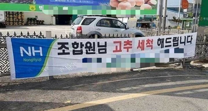 올리니 이미지