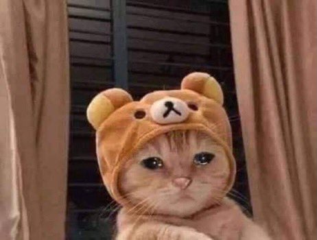 우요 이미지