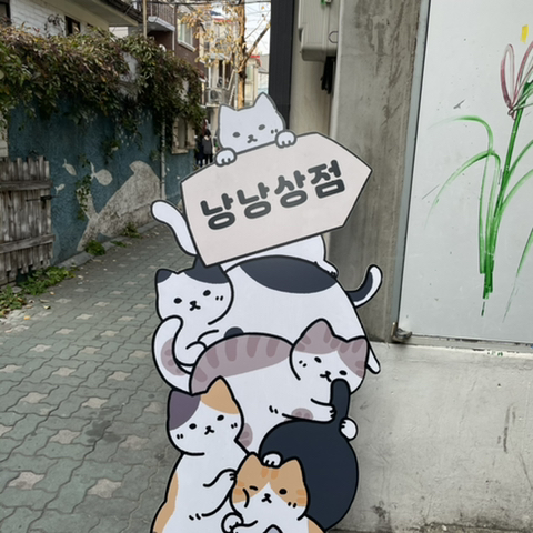 보f 이미지
