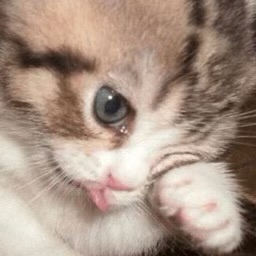 우요 이미지