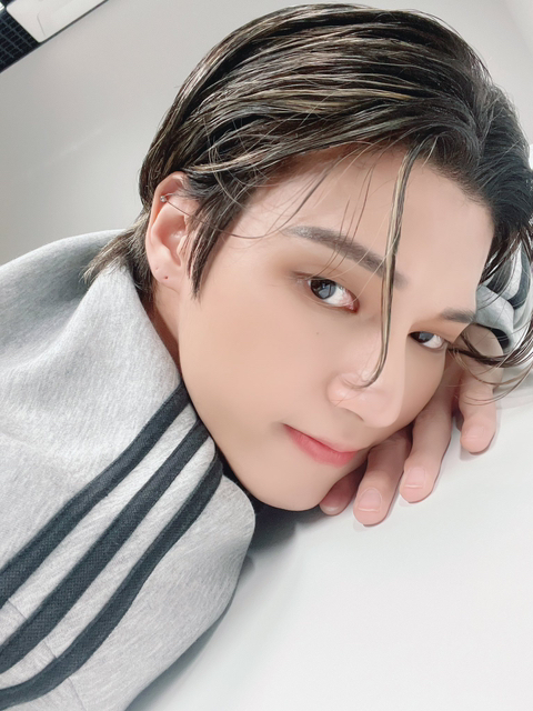 와일드바디 이미지