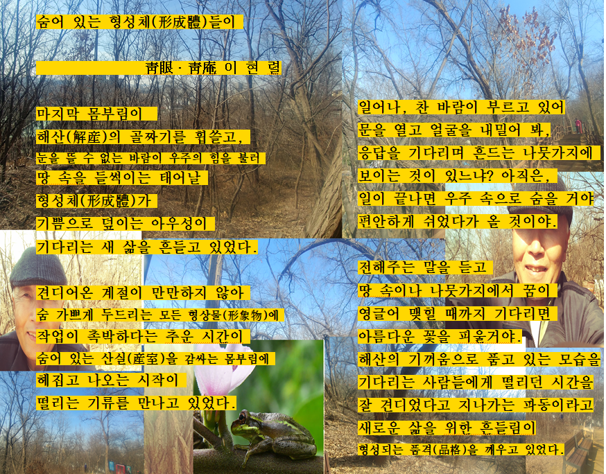 이*렬 이미지