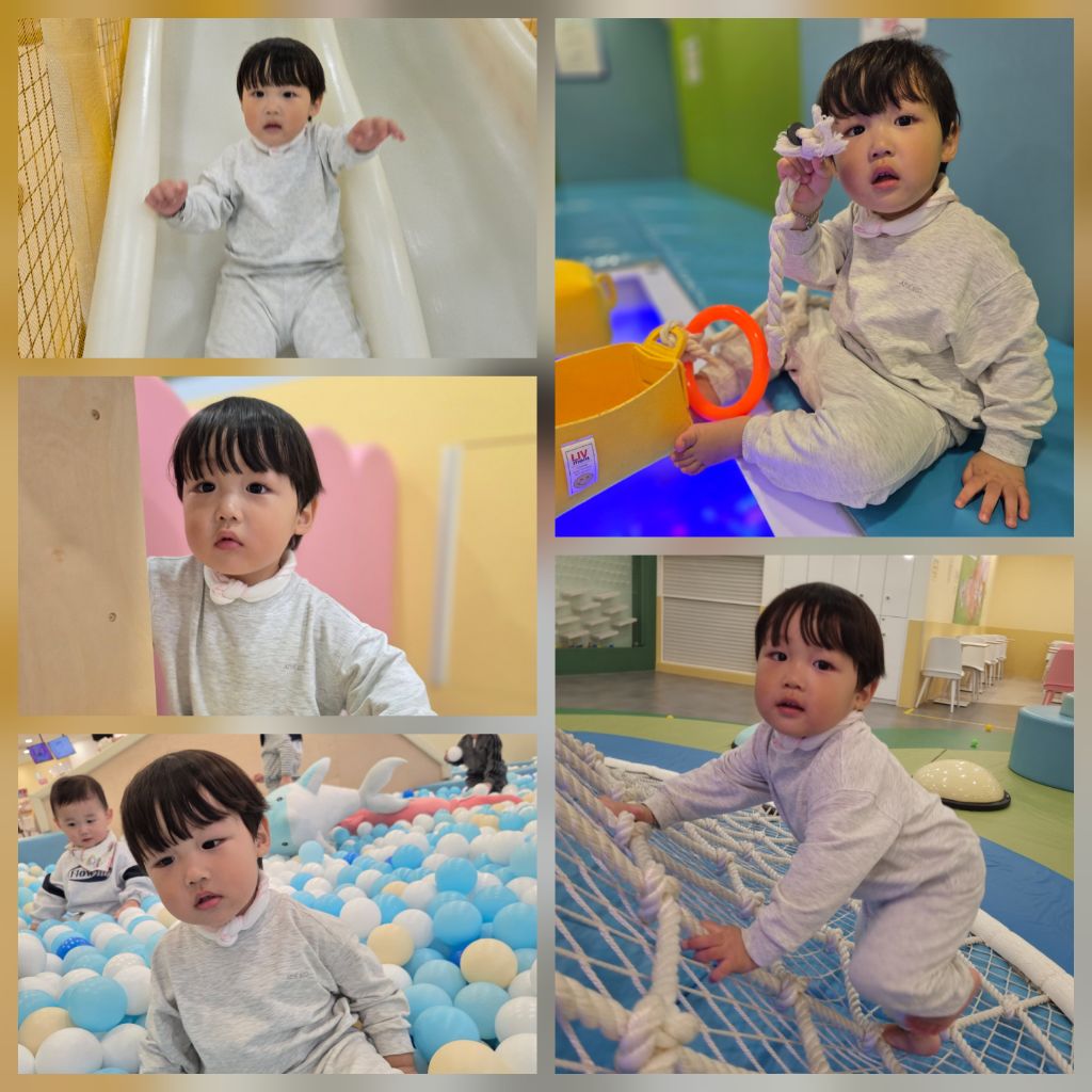 꽃과 이미지