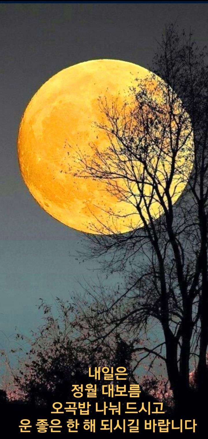 보름;꽃 이미지