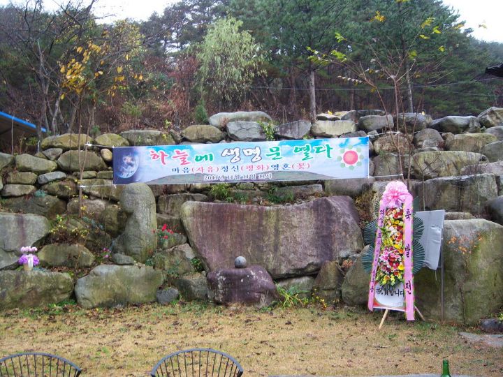 한국생명문화원 이미지