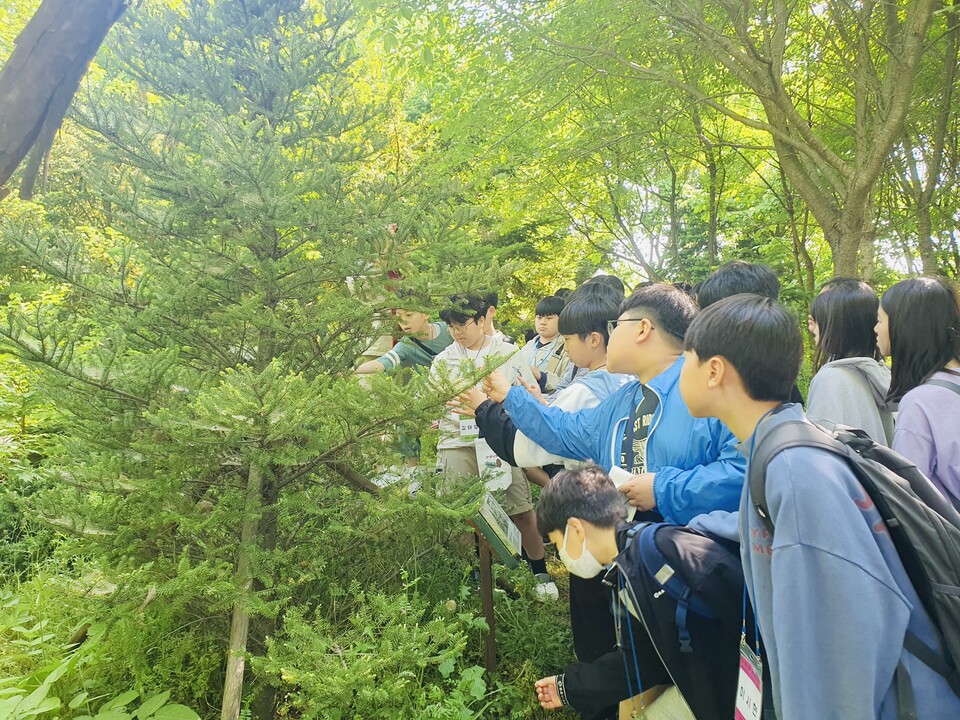 미래생태 이미지