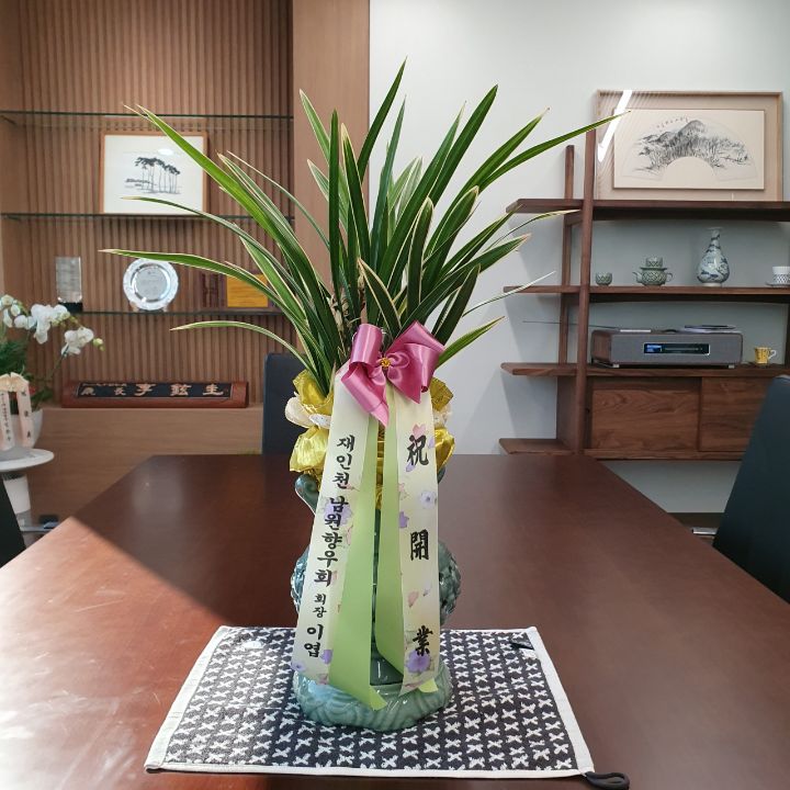 세무법인아림 이미지