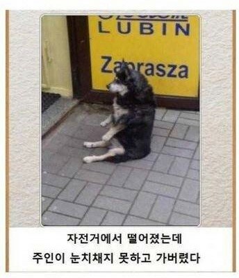 쎈스 이미지