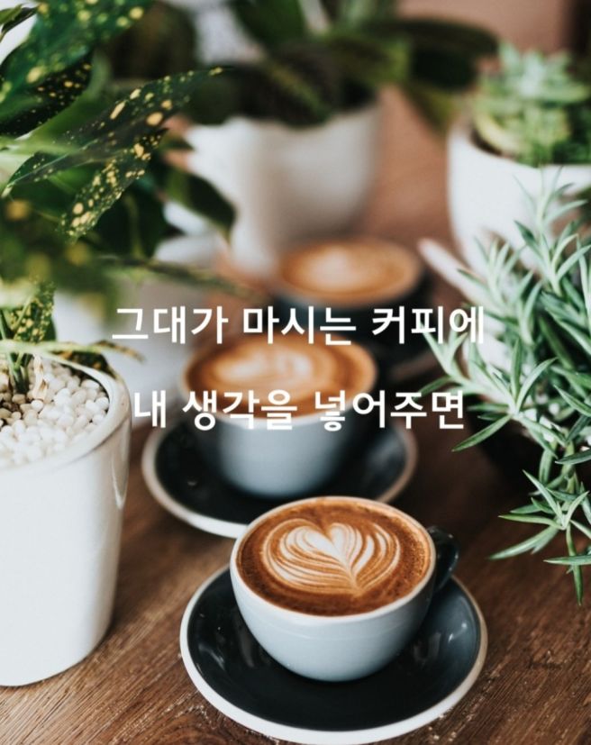 사랑으로 이미지