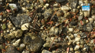 3341c974495e8eab3464bd38d1aa8fdadc8e523d