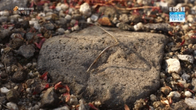 43acb31f6da06d955e5aaf9af50a4c211bba2a05