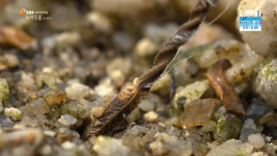 757530c232a5d4a2203ff8ae36f04c8b684c949d