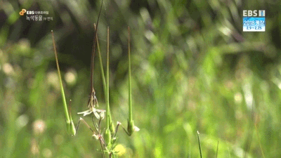 7e3f419d7ba110d87aebe83aab99a25a47ae76e8