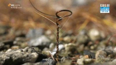 8083a0ae2318eed0c39a2477feb7d0eb239669bf