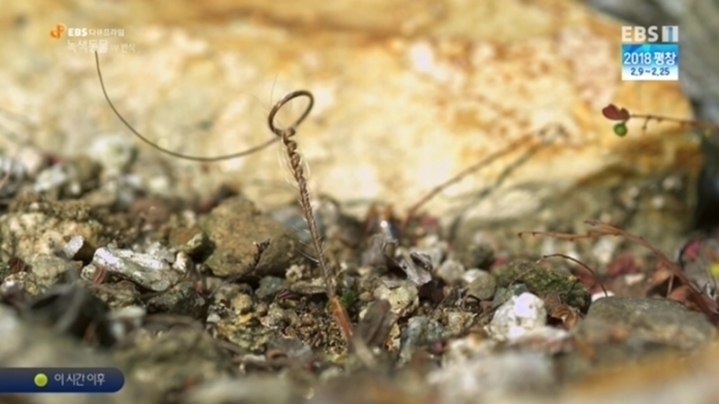 c5b438fe2b9a8ca15ba776fea2613718c02bb46a