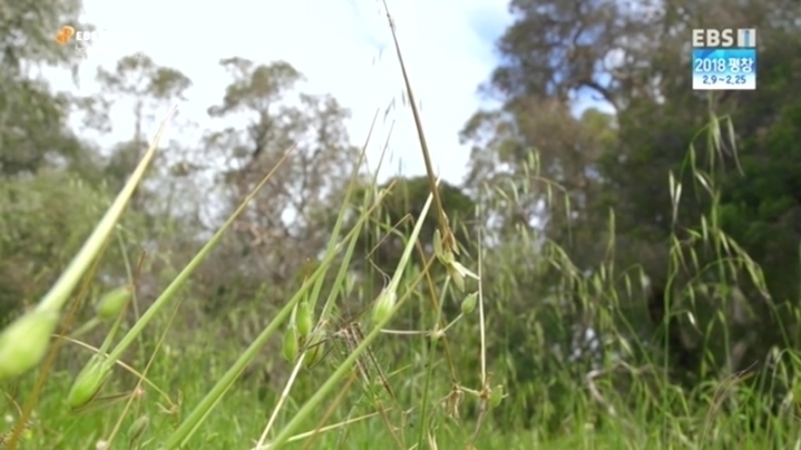 fbd40a35cf7bf156da51622728164b0e6369a8bb