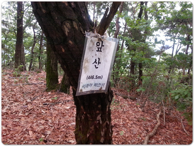 한금 이미지