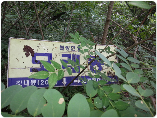 한금 이미지