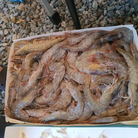 산여울캠핑장 이미지