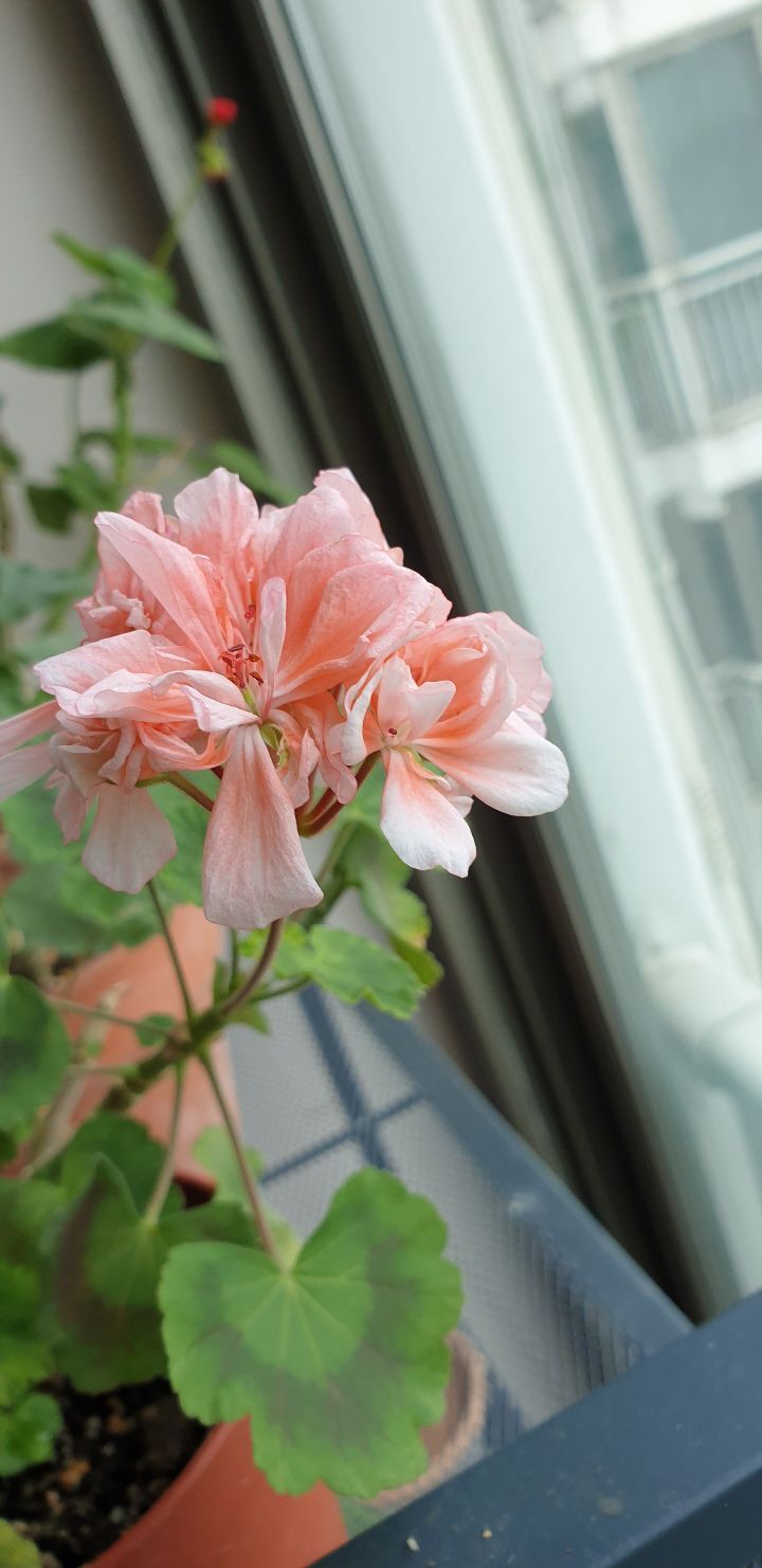 수지뷰티 이미지