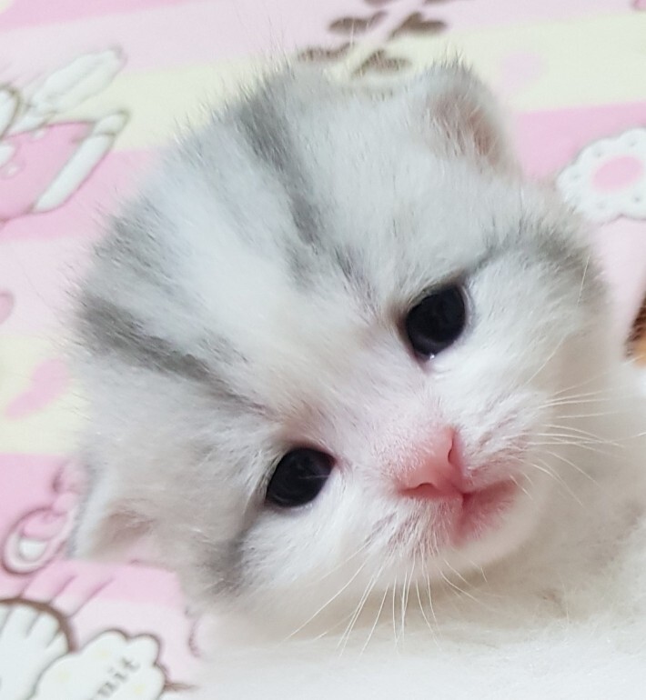 인성 이미지
