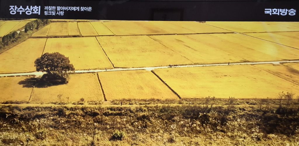 장수상회 이미지