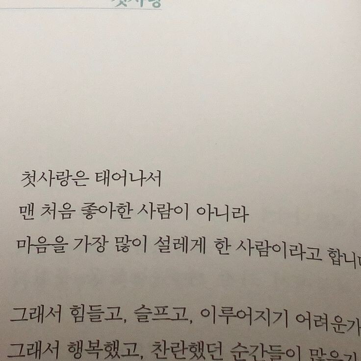 사랑은 갑작스럽게 다가와 사랑하지 않겠다 다짐한 내 마음을 부수고, 기어코 내 안에서 폭죽을 터뜨린다 | 인스티즈