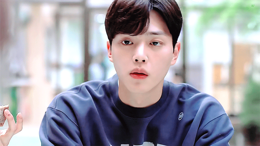 세상엔 여러 모양의 블록들이 있는데 굳이 우리라는 다른 모양을 선택하는 바람에 | 인스티즈