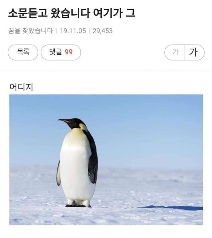 기절할만큼 맛있는커피 드셔보시고 기절안하면 기절시켜드리겠습니다 | 인스티즈