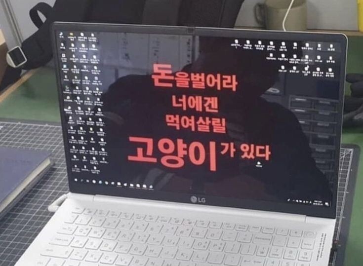 기절할만큼 맛있는커피 드셔보시고 기절안하면 기절시켜드리겠습니다 | 인스티즈