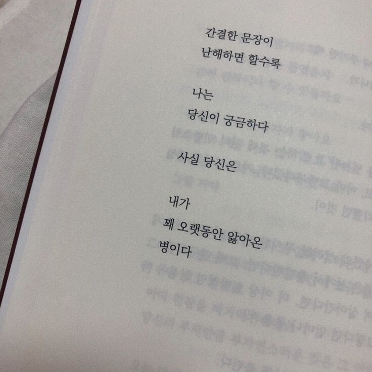 사람을 조아하는 건 진자 아주 가성비가 떨어지는 일이야 | 인스티즈