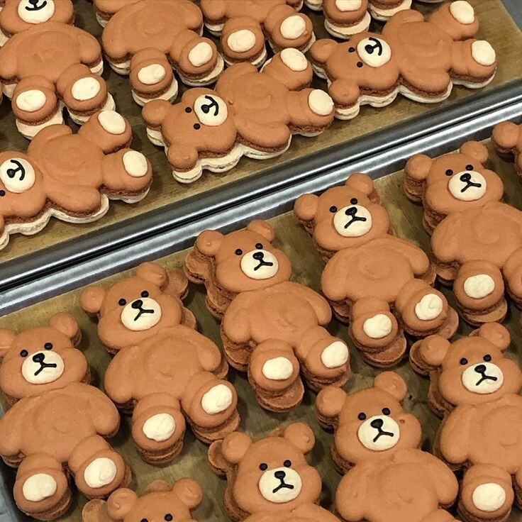 cookie cake bear 🐻 | 인스티즈