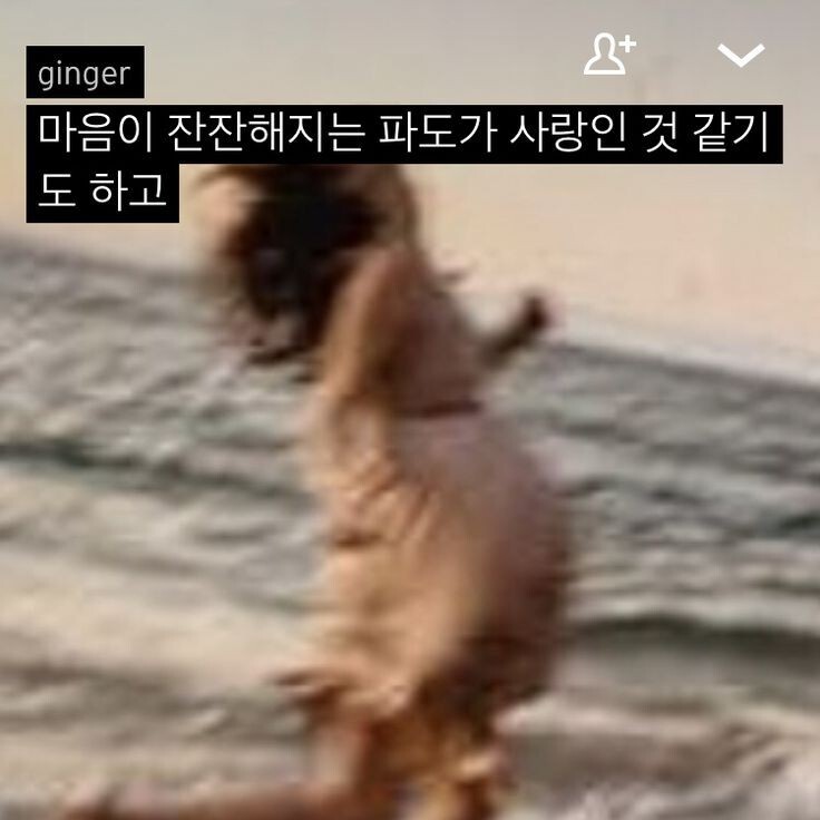 사람을 조아하는 건 진자 아주 가성비가 떨어지는 일이야 | 인스티즈
