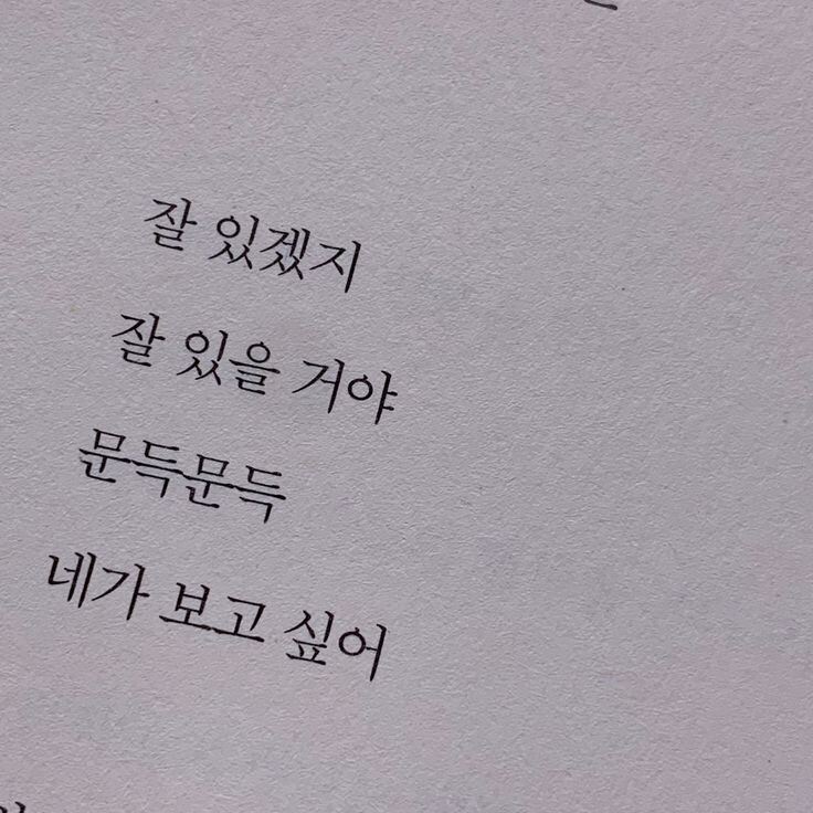 눈치 없이 사랑을 계속하고 싶은 거지 | 인스티즈