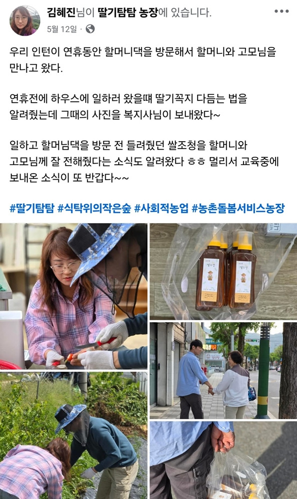 딸기탐탐 이미지