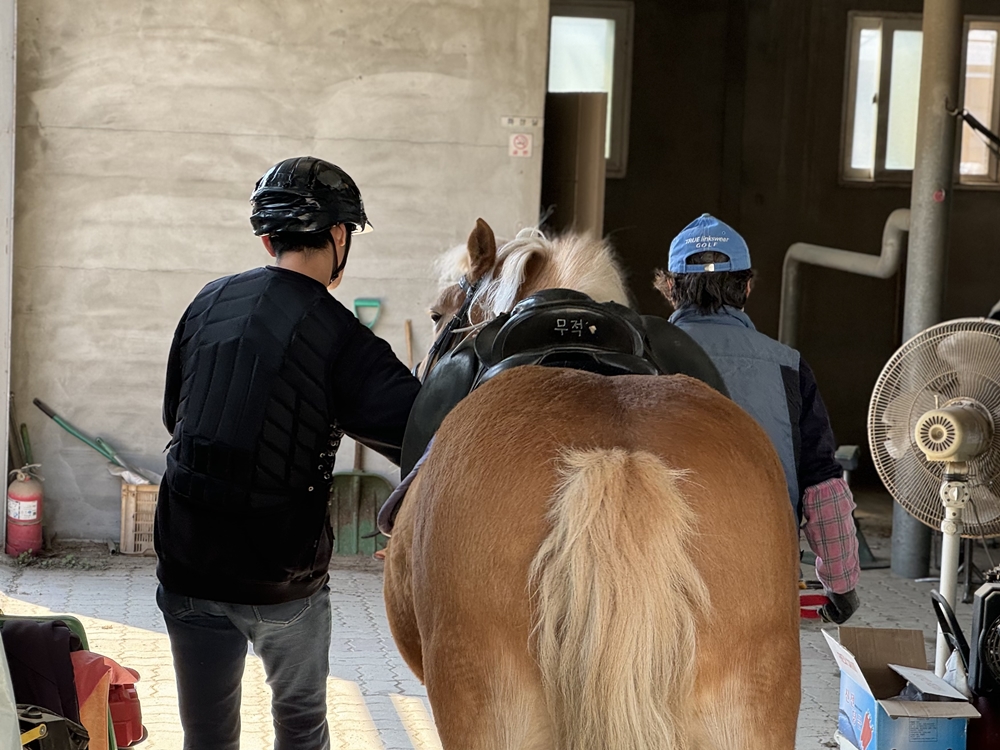 오로라승마장 이미지
