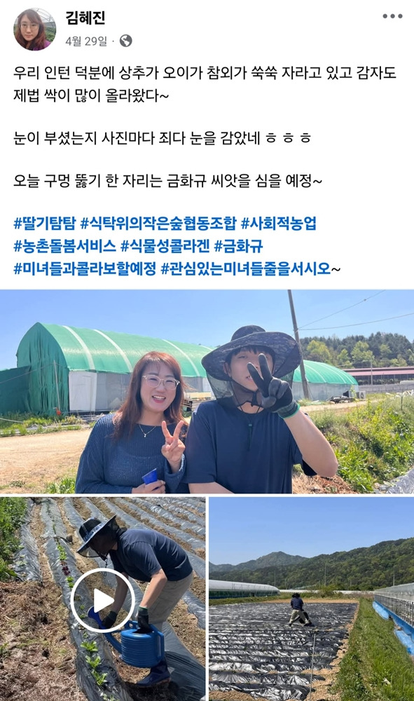 딸기탐탐 이미지