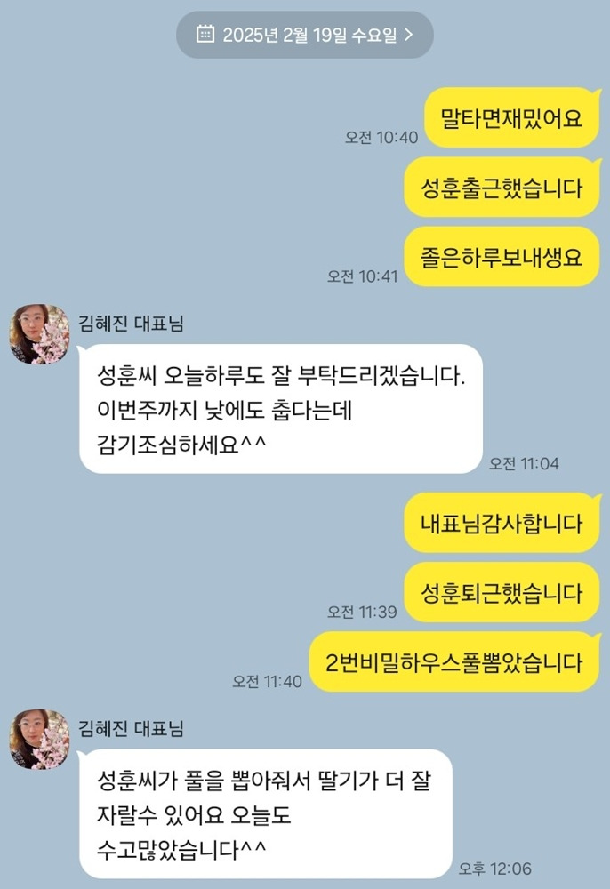 딸기탐탐 이미지