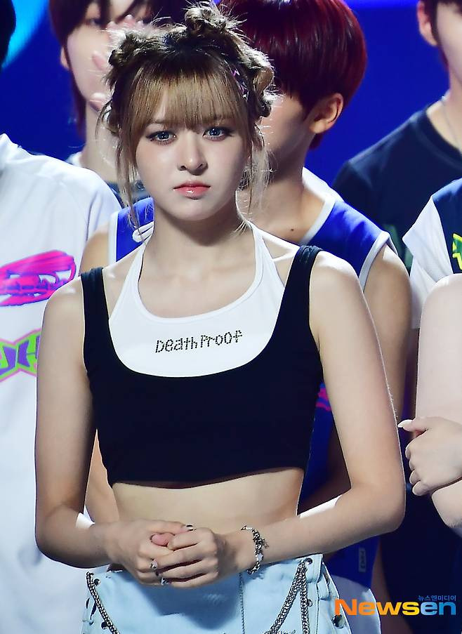 릴리 이미지