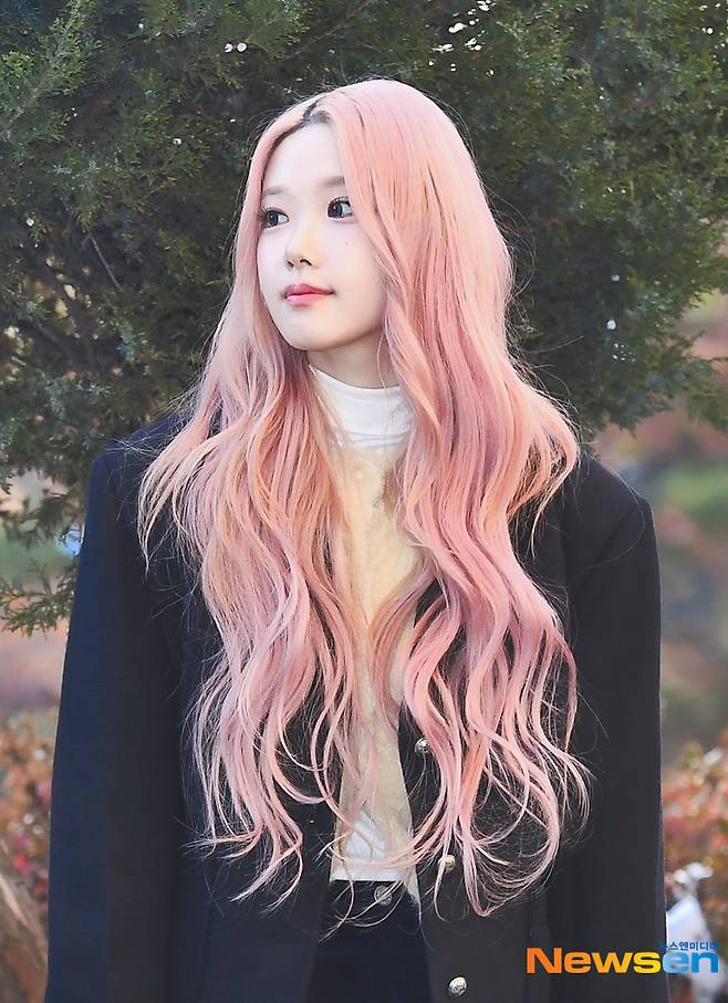 채원 이미지