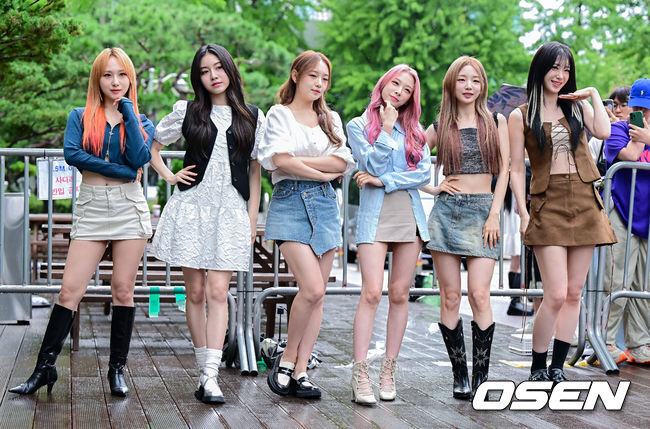 펀치 이미지