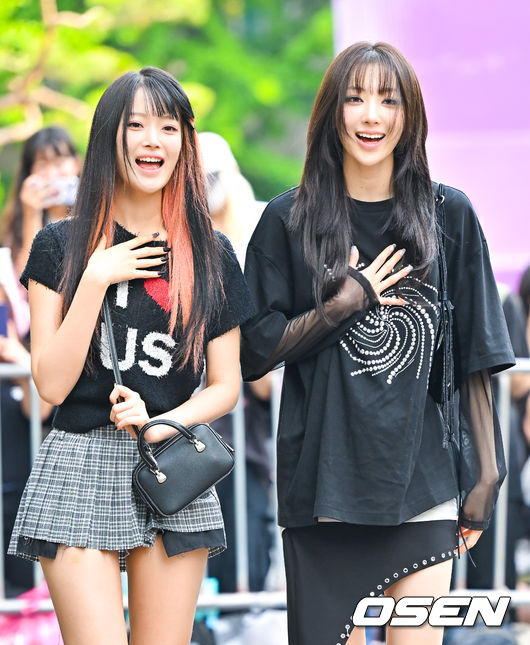 서이네 이미지