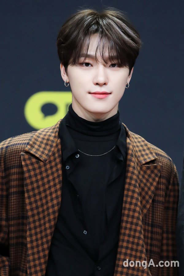 디노 이미지