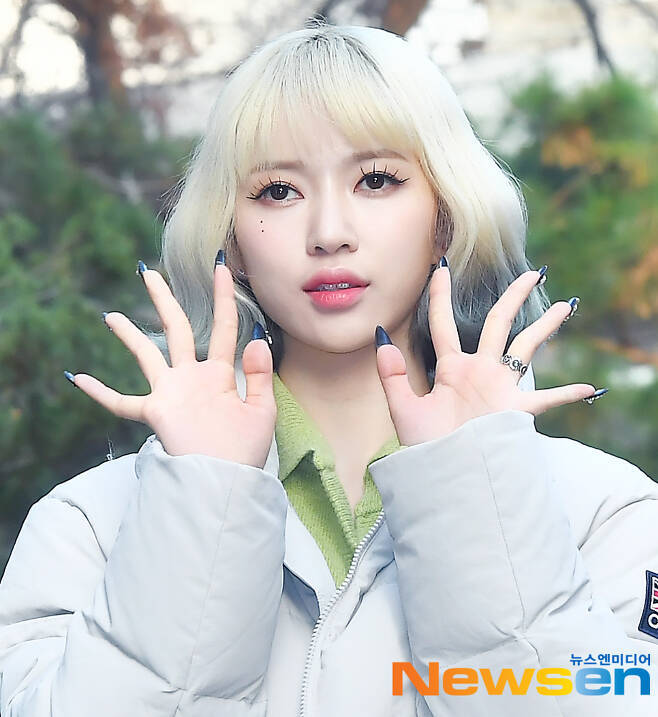 로하 이미지