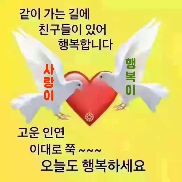 체리핑크 이미지