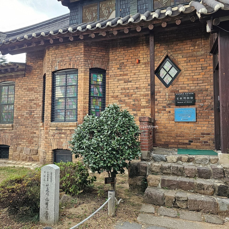 청라푸른담쟁이 이미지