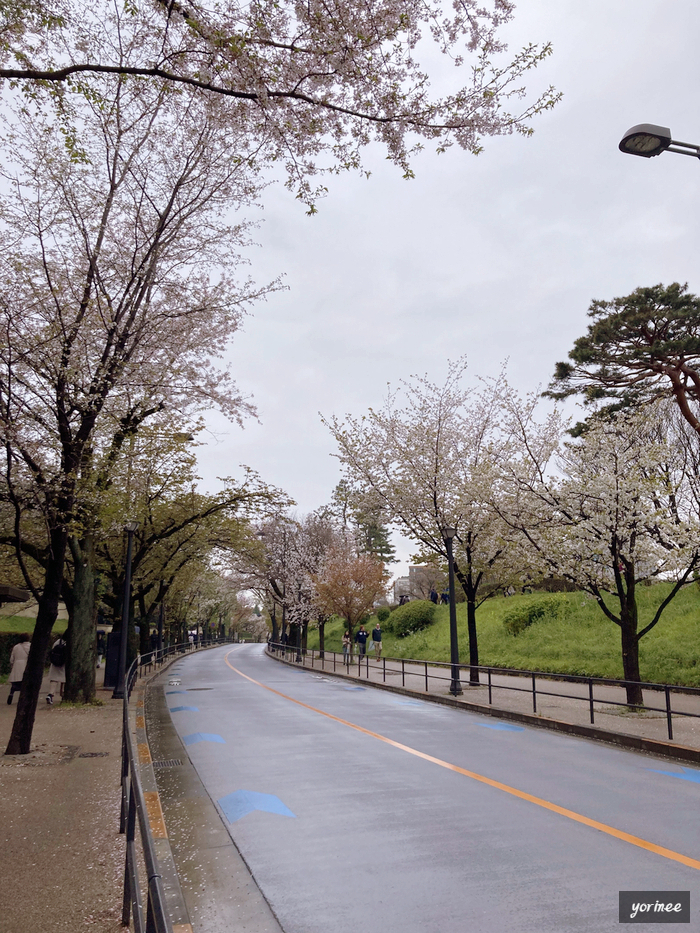 지도리 이미지