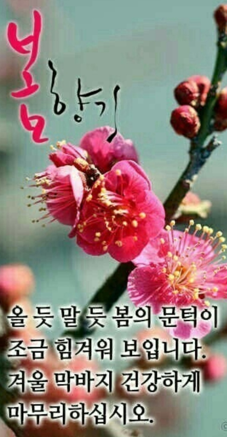 향기 이미지