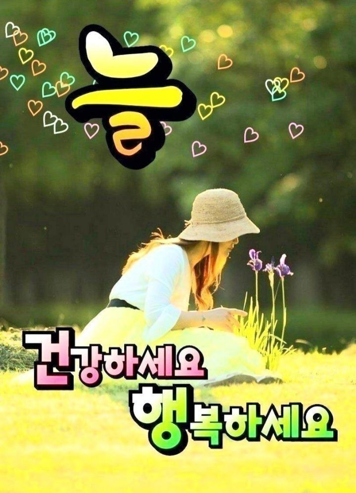 체리핑크 이미지