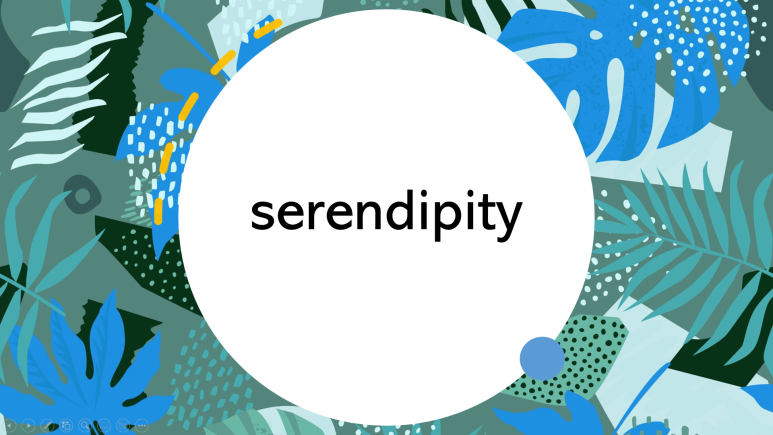 세렌디피티 이미지